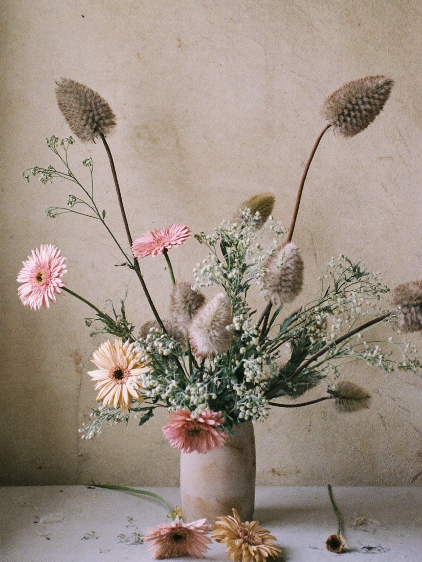 Crème · Rose poudré · Sauge — everyday scene 1